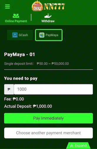 Step 2: Enter the amount you want to pay.